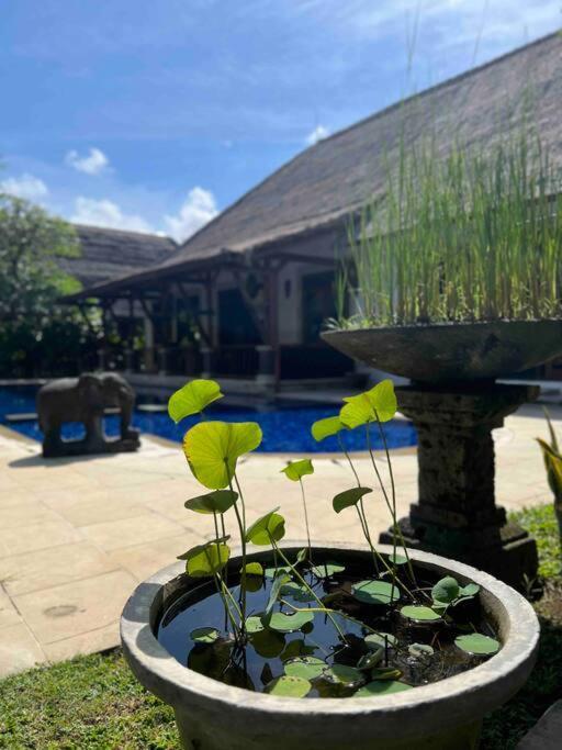 Bali Berg Villa, Sanur Exterior foto
